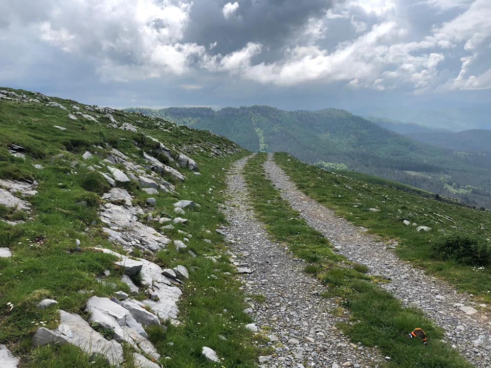 175807356 4351287191549048 637511994051967437 n