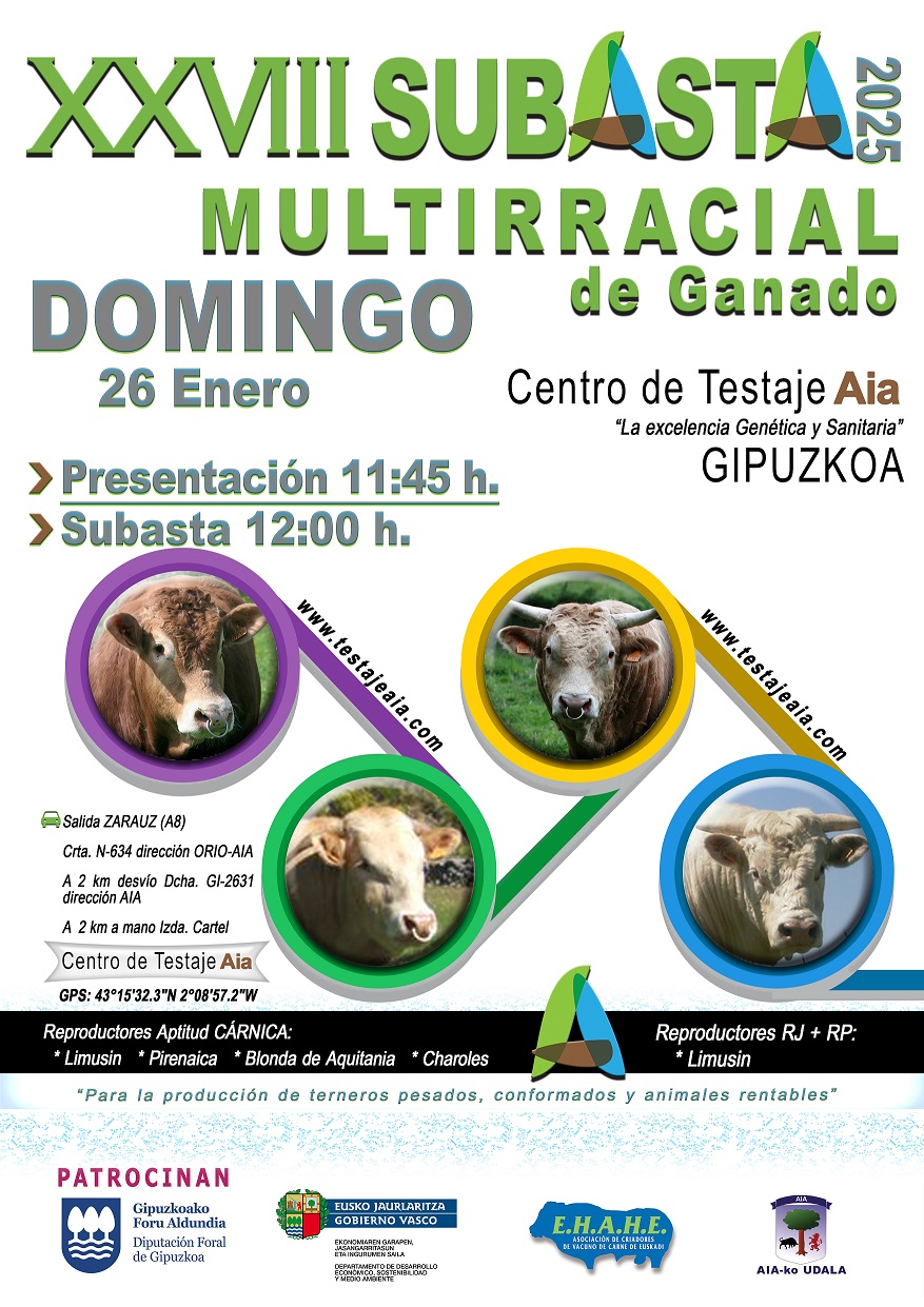 2025 01 26 Cartel Anunciador AIA castellano