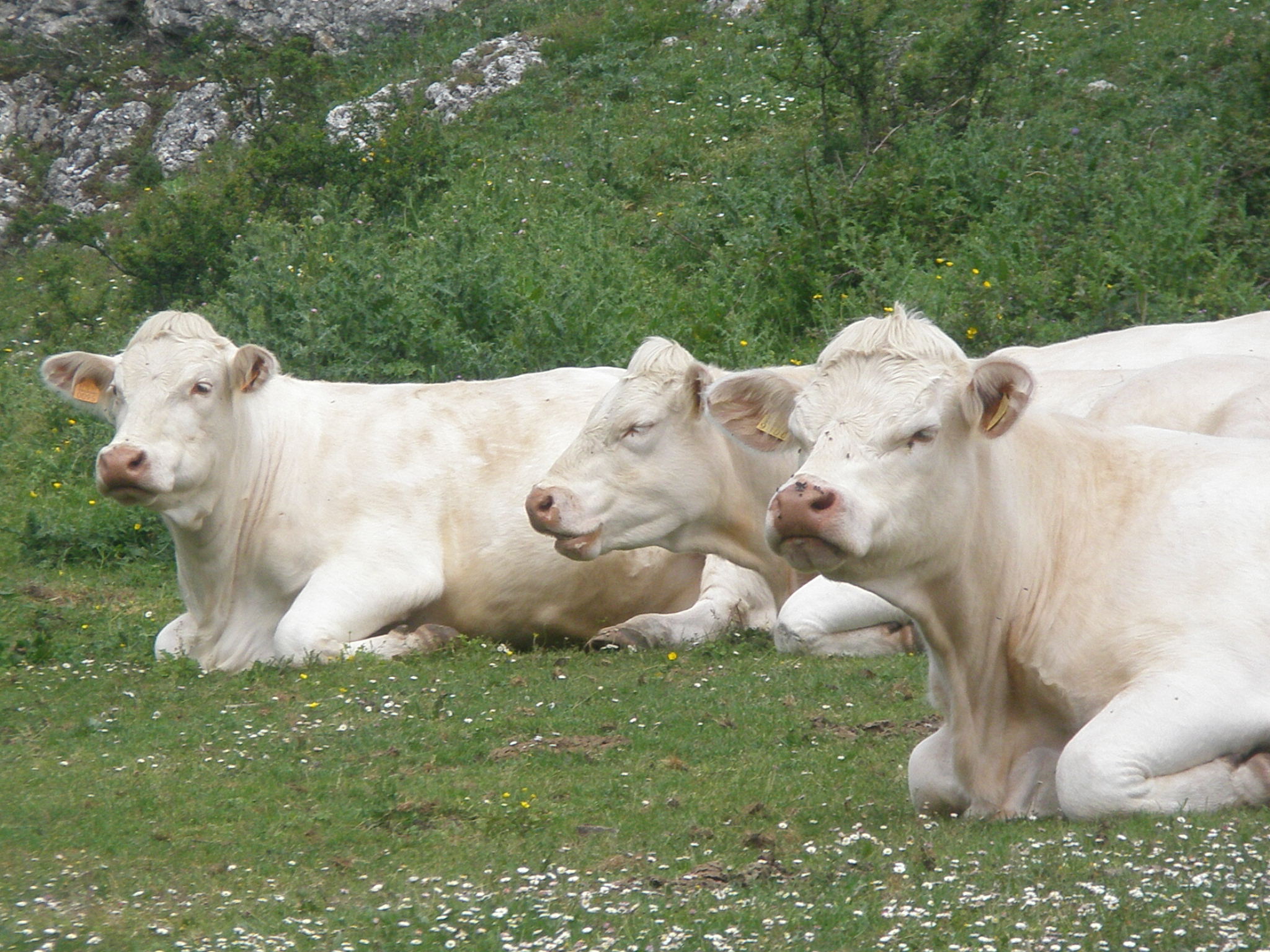 212.sektoreak.bienestar