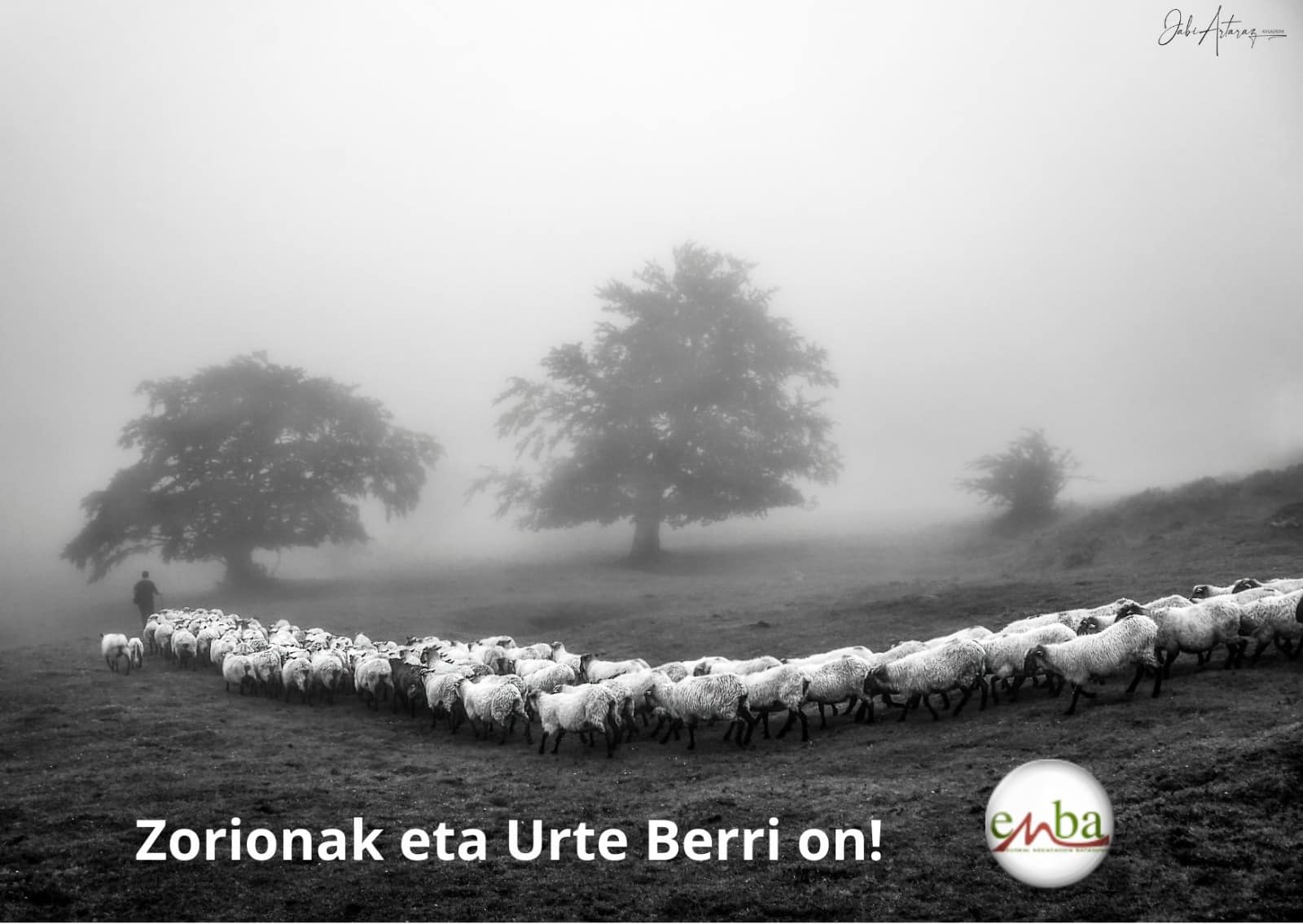 266318943 1724549111067145 1361473927134373226 n