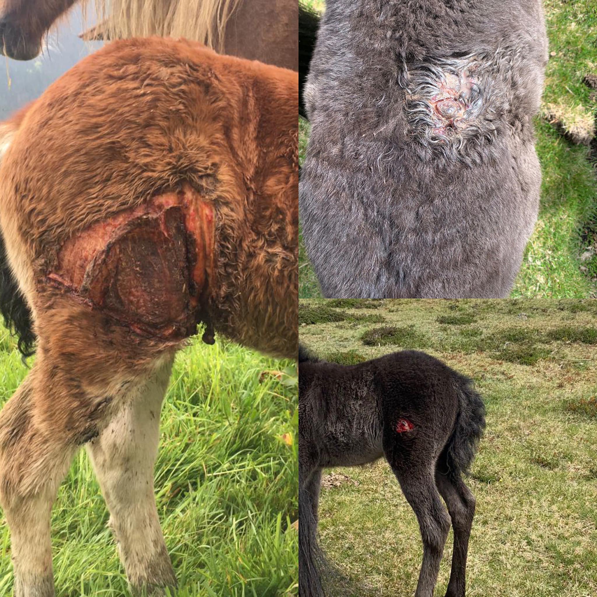 279113881 1821519448036777 3410773050522775415 n