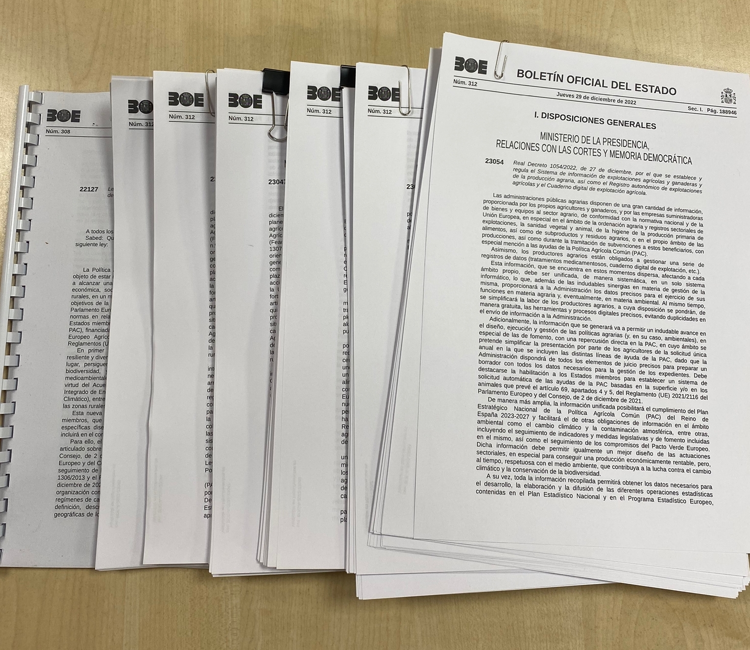 322940507 849504632784036 1592355336745787494 n