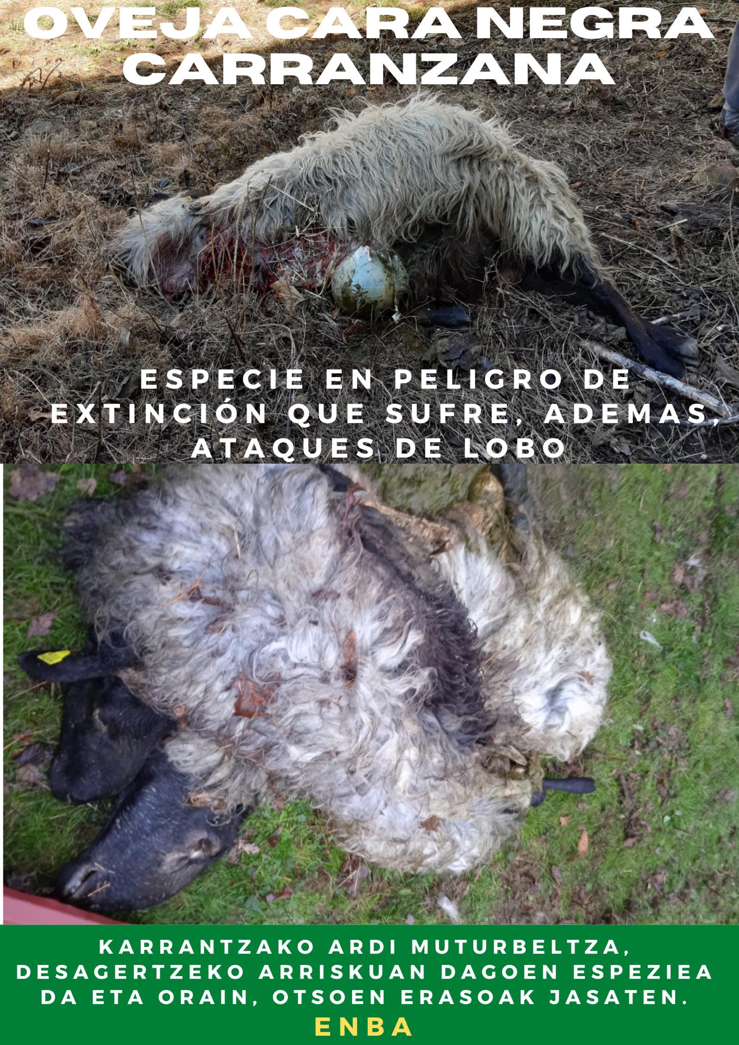 328238001 518427123755626 4349653358738039649 n