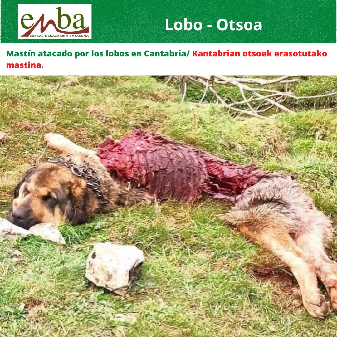 330980305 935093214156671 4514692643312952403 n