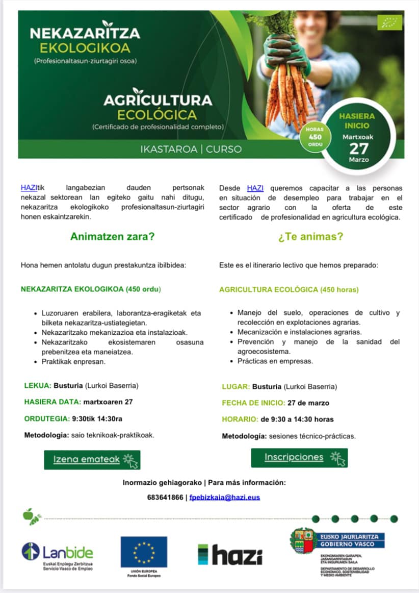 334735281 1614728405656363 1161975345479605998 n