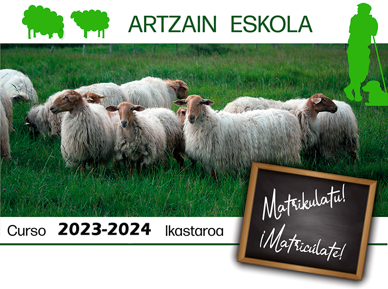 358107721 1754356178356586 2535194453062770225 n