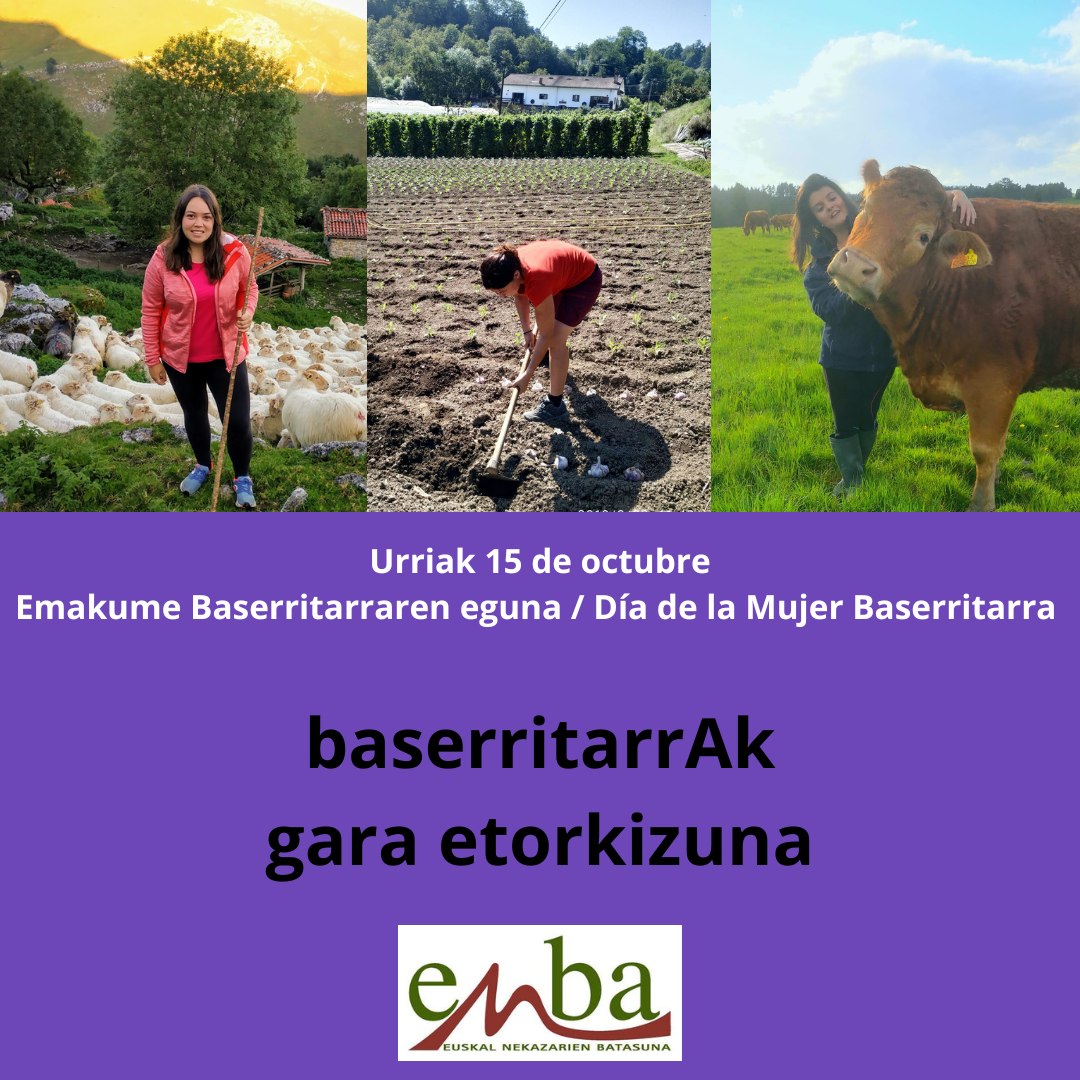 391610974 816273533627989 5690384834469408145 n