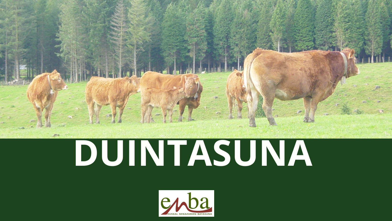 410001109 847365427185466 2704682416124741583 n