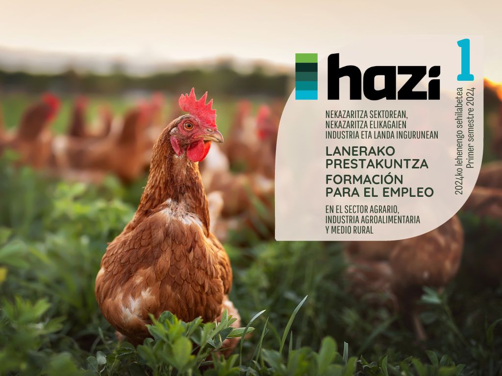 416107389 358276253582751 486537710403812462 n