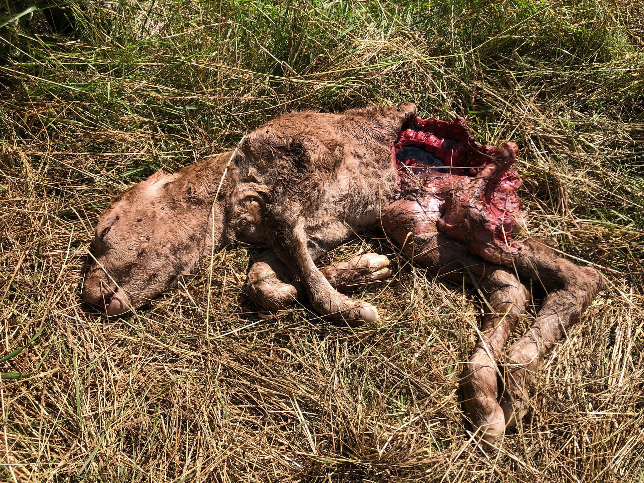 451444092 976355937619747 5777049866633391737 n