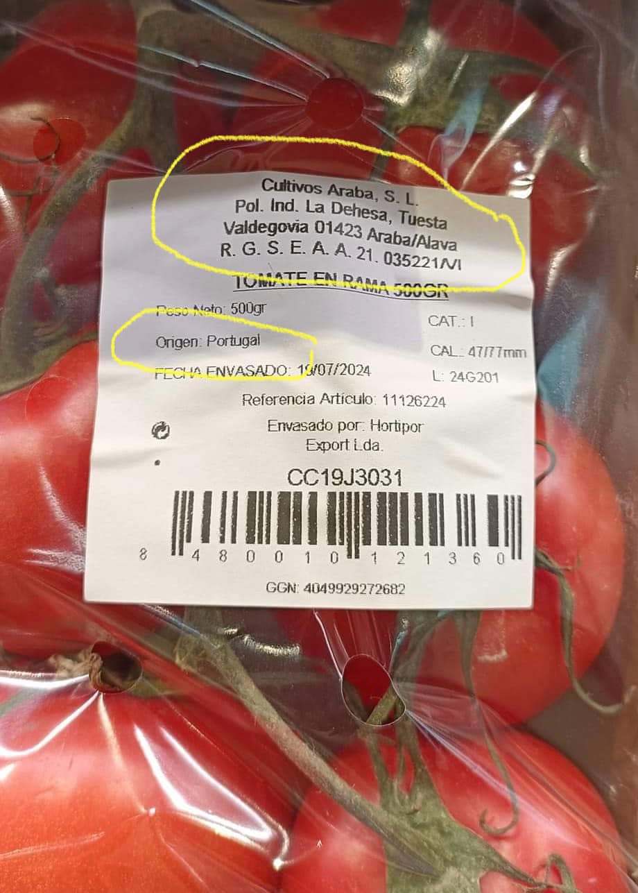 453049374 984958710092803 3075438692643171747 n