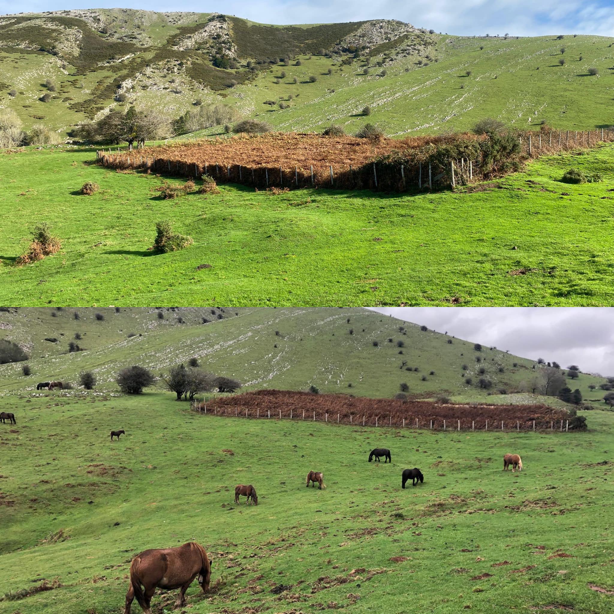 464521209 1044643490790991 6018197624590015314 n