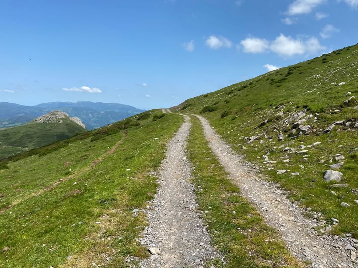 499159732 1194240239164648 125080584746775682 n