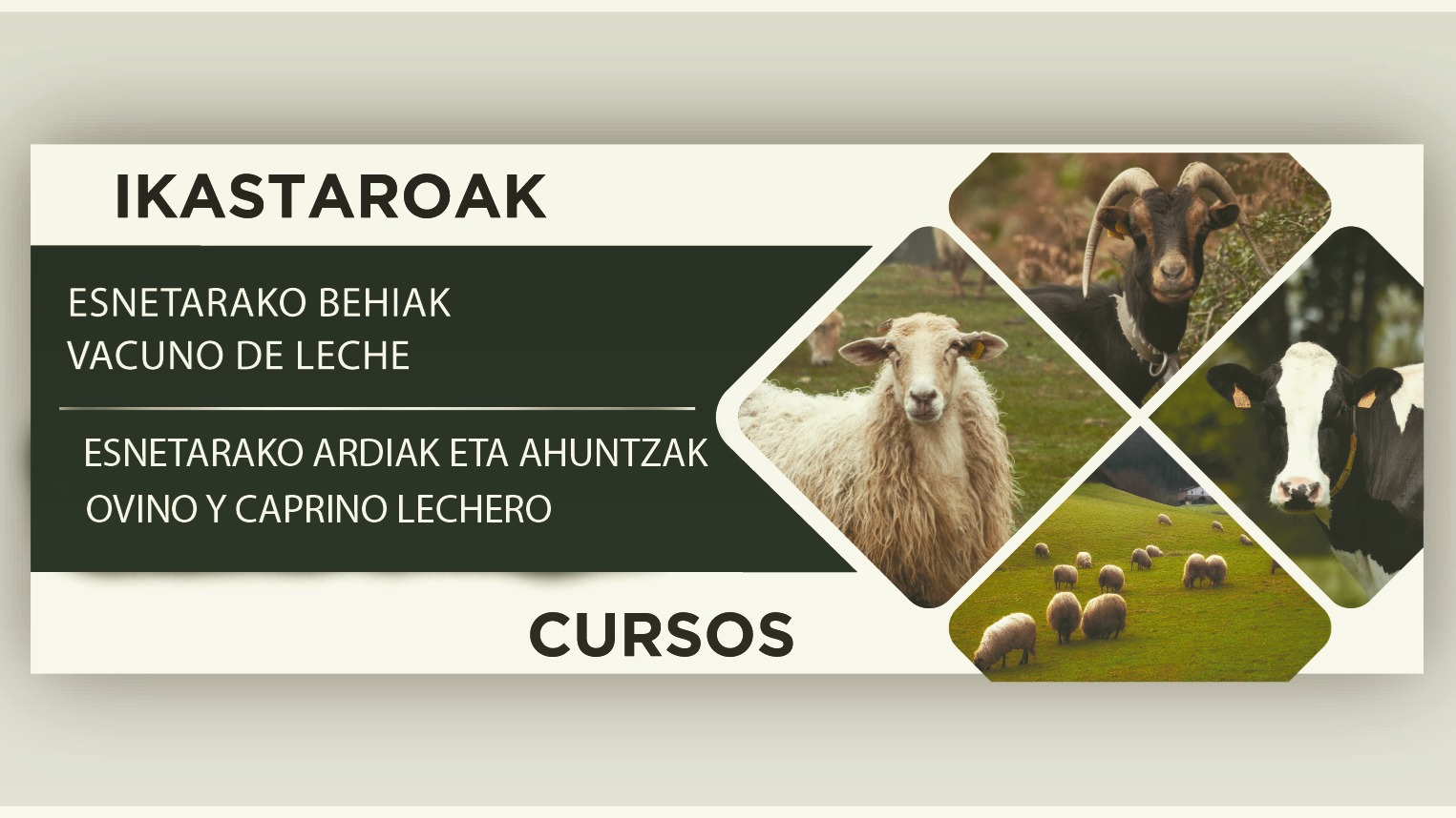 507008757 1076505621205051 8688290568966807255 n 1