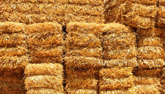 Fotolia 66881326 S copyright 700x401