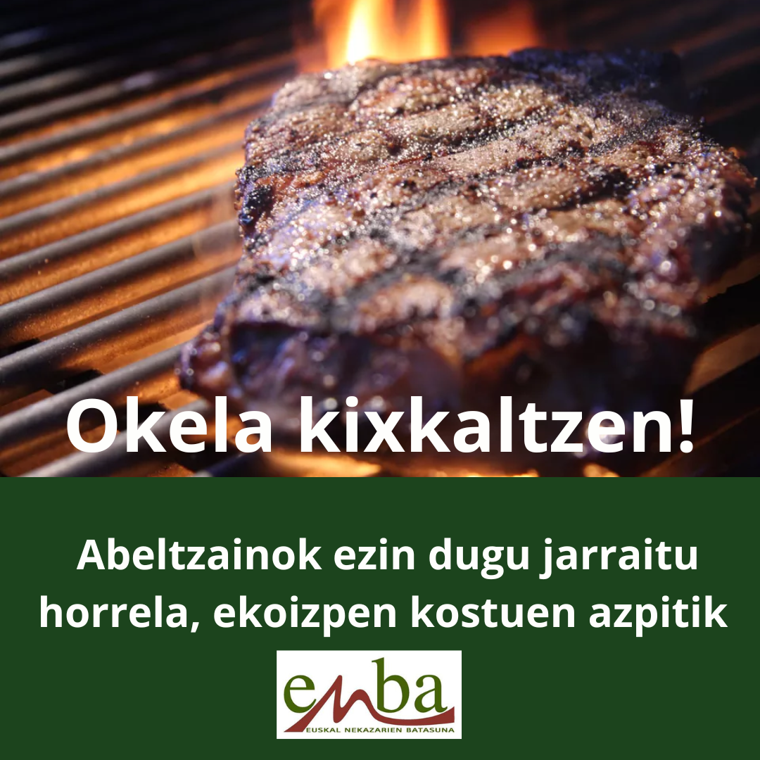 SDG 13 Climate Action