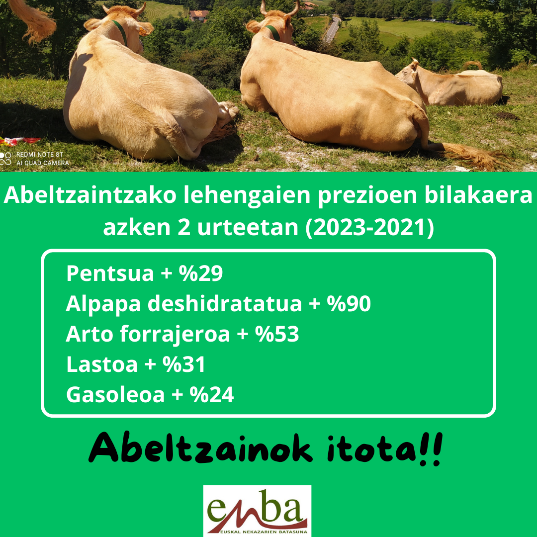 SDG 13 Climate Action 19