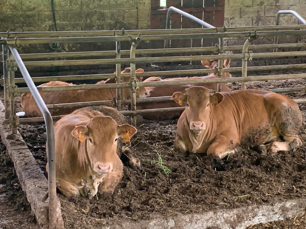 WhatsApp Image 2022 07 09 at 12.22.34 AM