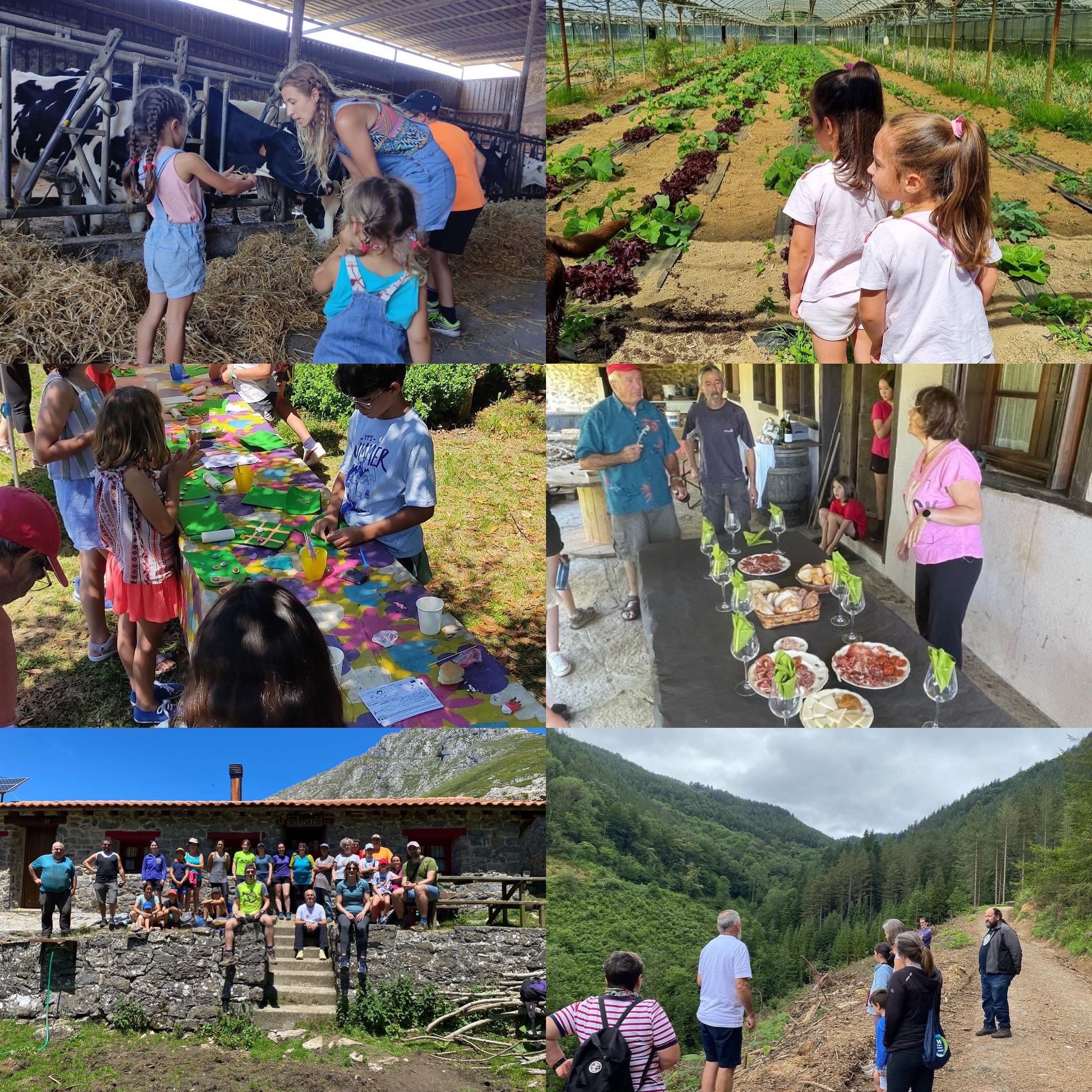 WhatsApp Image 2022 07 12 at 2.30.16 PM