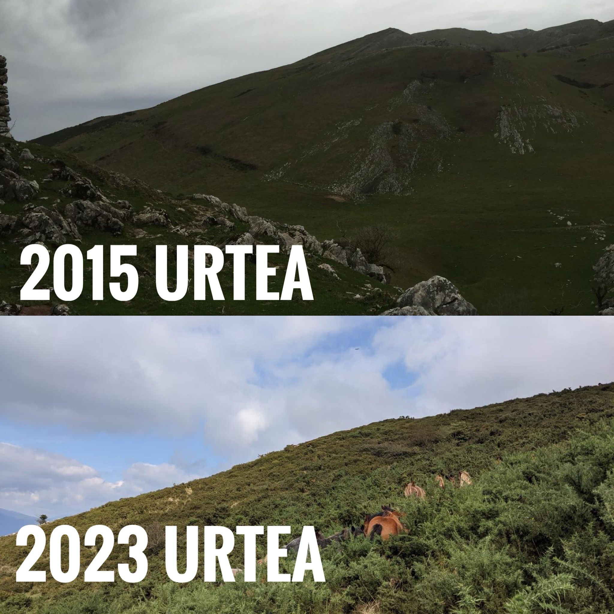 WhatsApp Image 2024 01 11 at 10.33.09