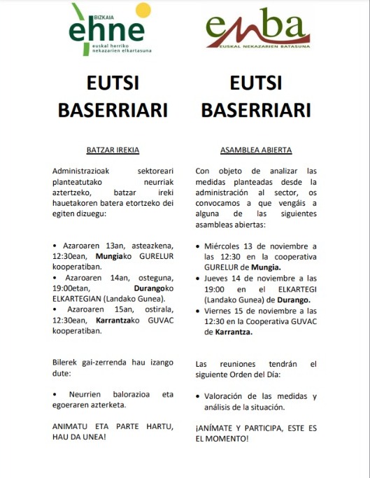 WhatsApp Image 2024 11 06 at 12.10.13