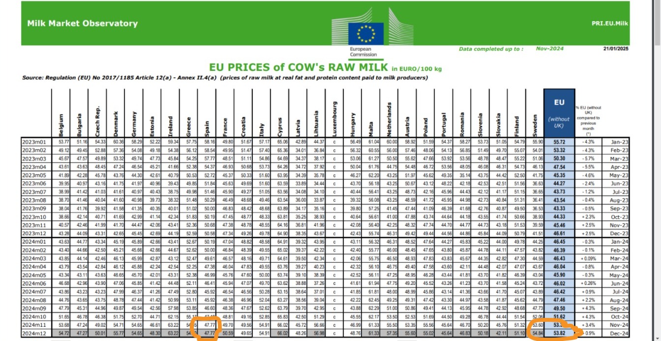 WhatsApp Image 2025 02 06 at 12.41.09