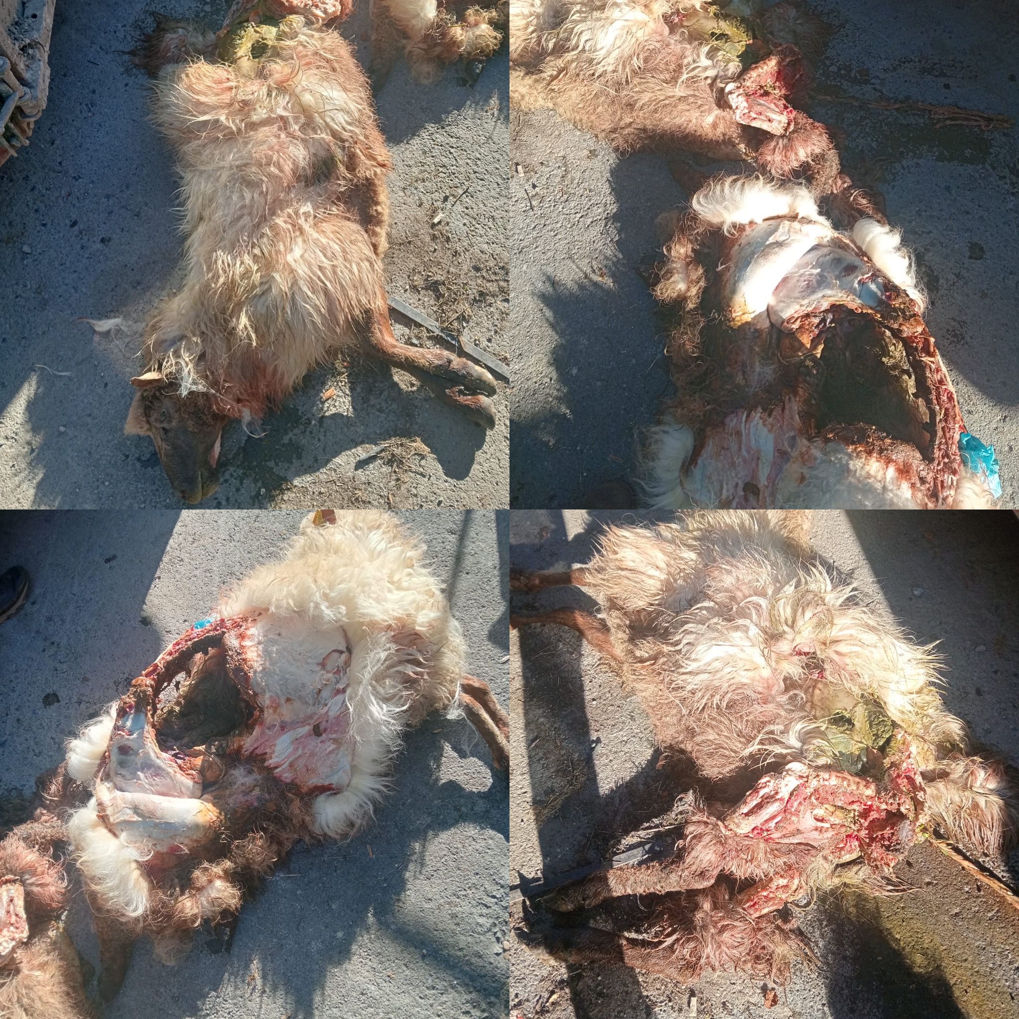 b0d4959e a6ab 4b18 a8b9 edbda645c7e6