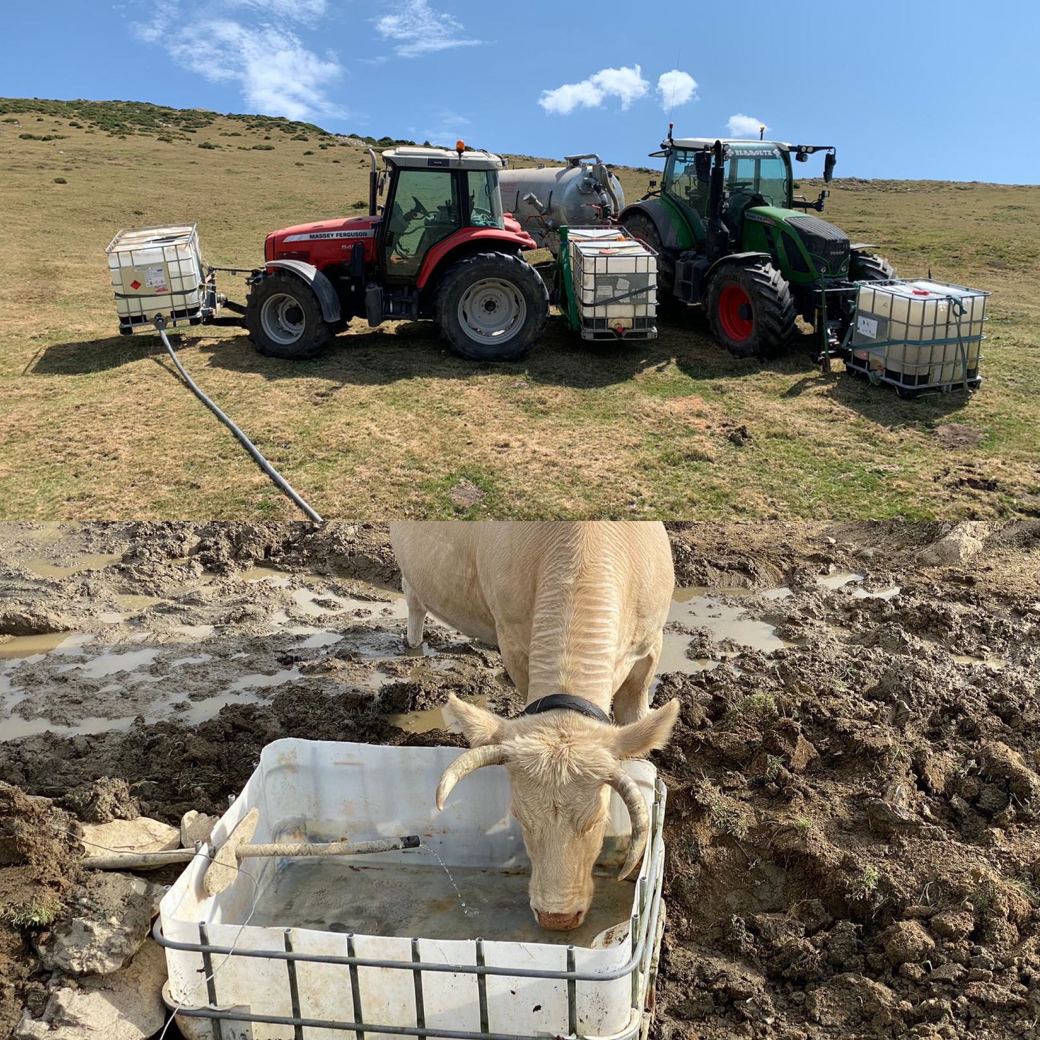 b2d32747 244a 4f2f acd0 7e670cd7bf3b