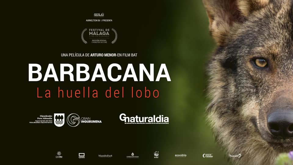 barbacana