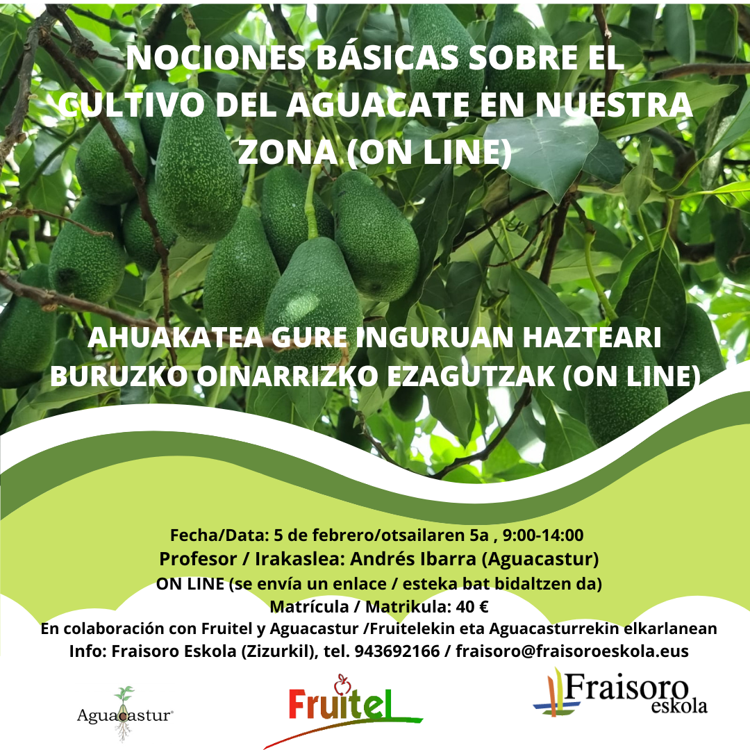 cartel cultivo del aguacate 2