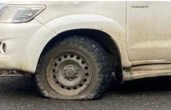 La organización agraria ENBA denuncia el sabotaje sufrido por un pastor de Aralar y reafirma su compromiso con todas aquellas iniciativas y acuerdos cuyo objetivo sea impulsar la ganadería de montaña en Aralar