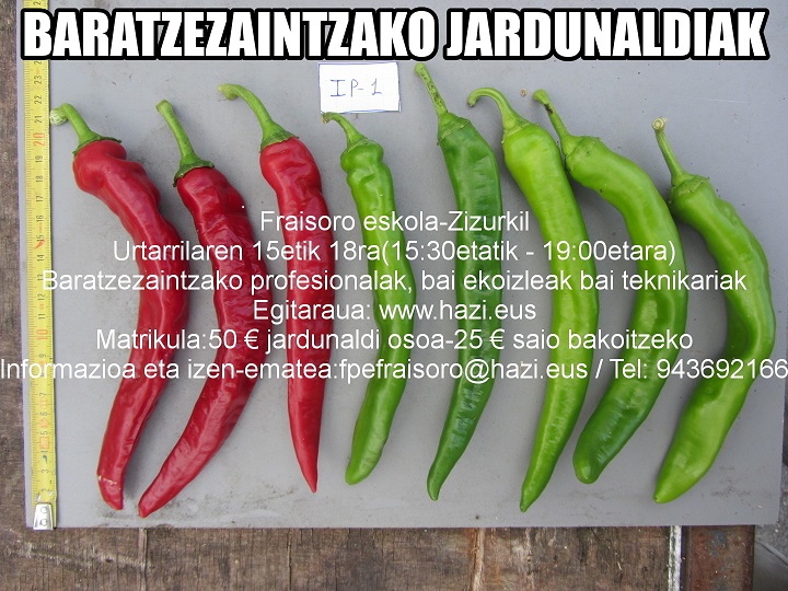 baratzezaintza