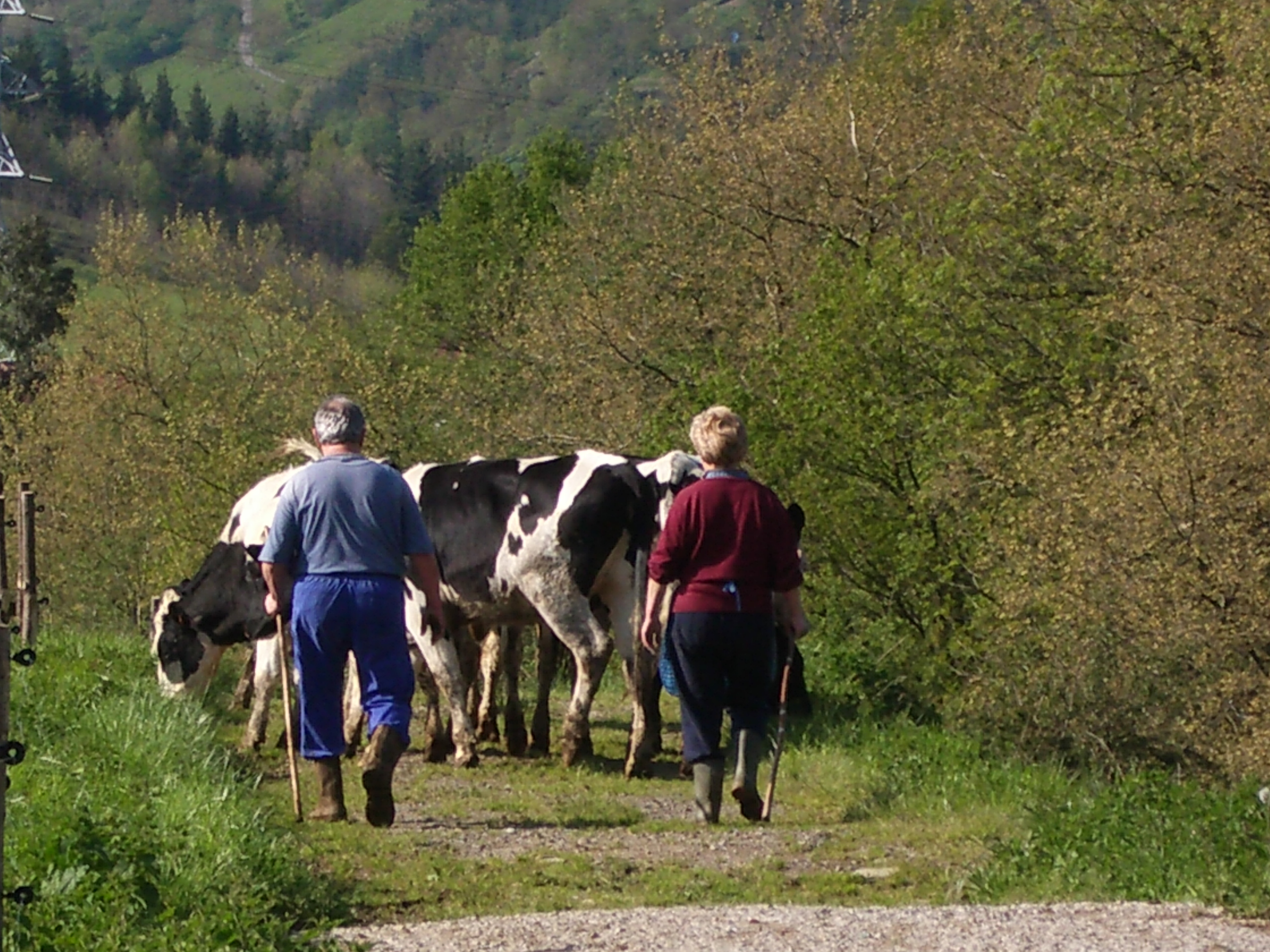 En Euskadi, el peso de la mujer en la agricultura crece, paralelamente, a la edad