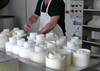 etiquetado de la leche y lácteos