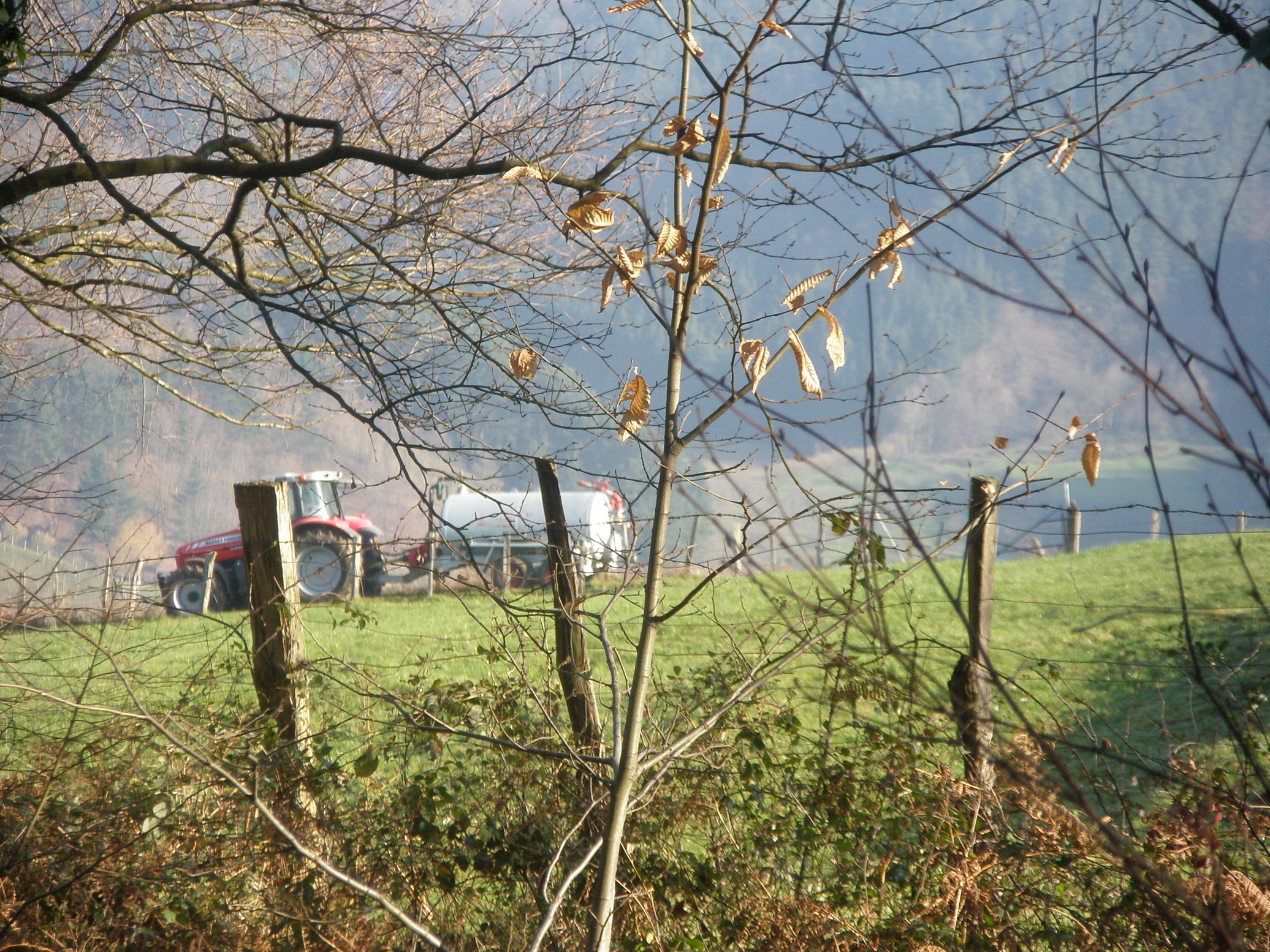 El proyecto de real decreto sobre la aplicación de purines “es un ataque directo al sector agropecuario de la cornisa cantábrica”